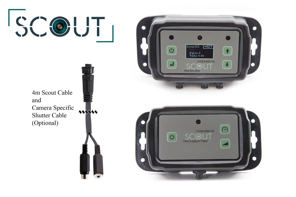 Scout Trail Monitor