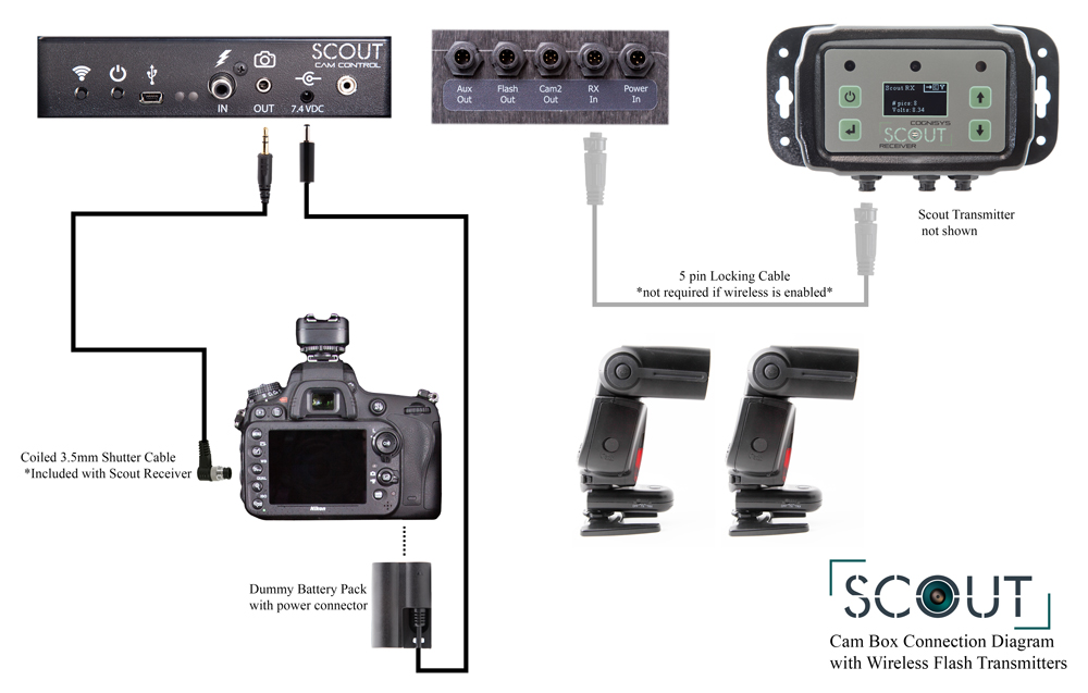 Connecting the Scout Camera Box with wireless flash transmitters