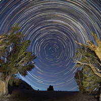 Bristlecone Star Trails Copyright Roy Dunn